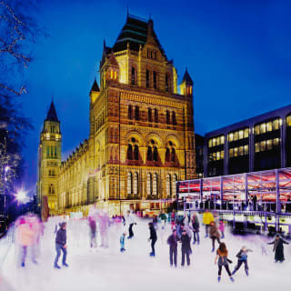 Ice Skating at the Natural History Museum 2