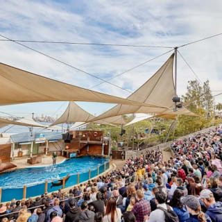 Taronga Zoo Sydney: biglietto d'ingresso + traghetto di ritorno 23