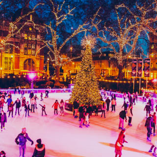 Ice Skating at the Natural History Museum 4