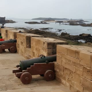 Depuis Marrakech : Excursion d'une journée à Essaouira 16