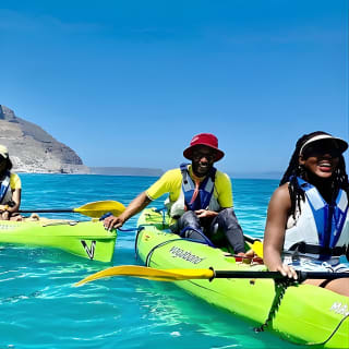 Guided Kayaking in Hout Bay 2