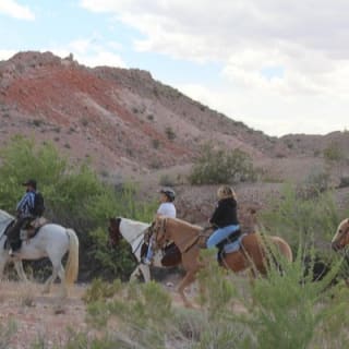  Horseback Riding Tour in Las Vegas 4