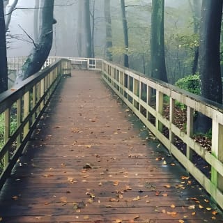 Møns klint og Skovtårnet - En dagstur fra København 12