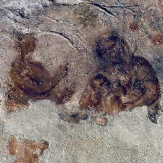 Catacomba di Priscilla: Visita Guidata 1