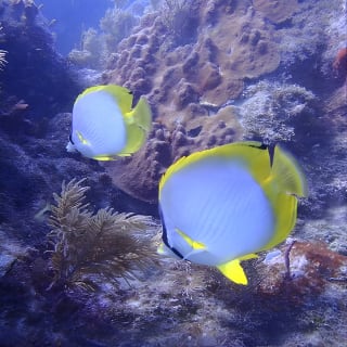 Experience Peanut Island Adventures 7