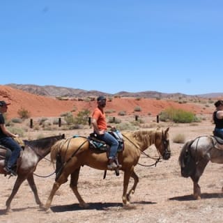  Horseback Riding Tour in Las Vegas 5