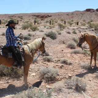  Horseback Riding Tour in Las Vegas 6