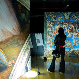 La Capilla Sixtina de Miguel Ángel: En Exposición 5