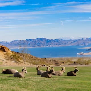 Hoover Dam and Lake Mead Self-Guided Audio Tour 9