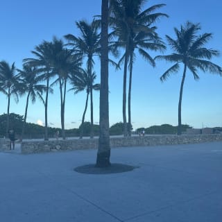 Miami Beach's Secret Society: Outdoor Detective Game 5