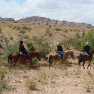  Horseback Riding Tour in Las Vegas 8