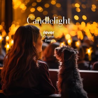 Candlelight Paws: A Dog-Friendly Classical Concert 1