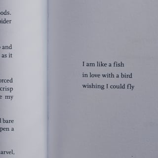 Poesía 10 1