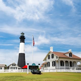 Savannah to Tybee Island with Dolphin Cruise 4