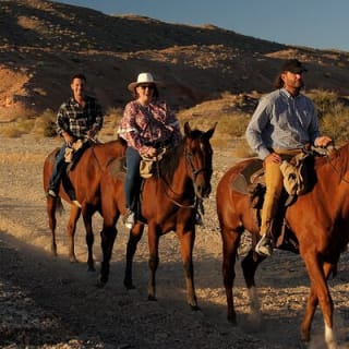  Horseback Riding Tour in Las Vegas 11