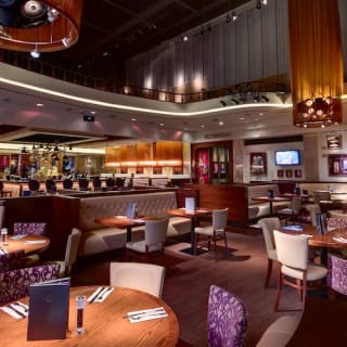 Hard Rock Cafe Firenze 3
