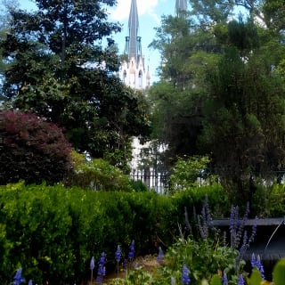 Botanical Tour (by Walk With Me Savannah Tours) 5
