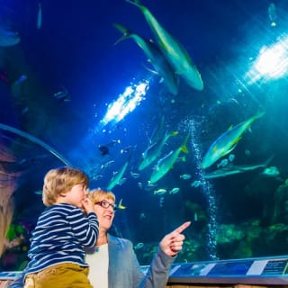 SEA LIFE München 2