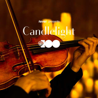 Candlelight: 100 Years of Warner Bros. 4