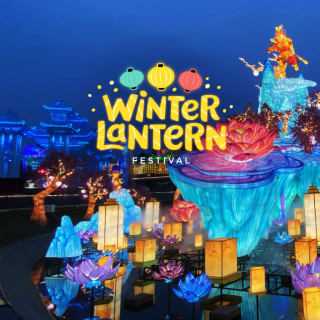 Winter Lantern Festival - Washington DC 3