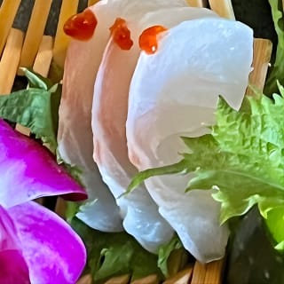 El tour del sushi 17