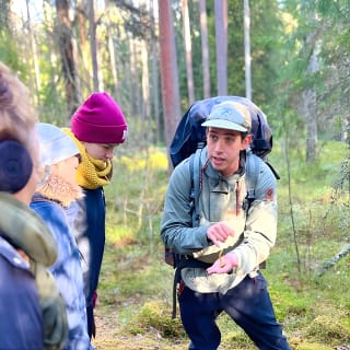 Mushroom Hunting in a National Park 3