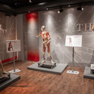 Real Bodies : un voyage à travers l'expérience humaine 5