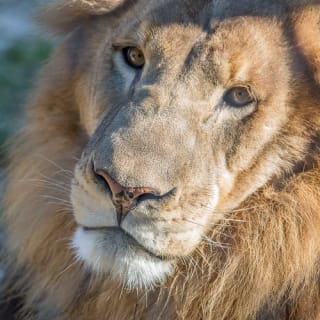 Austin Zoo 1