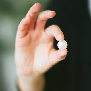 Live Pearl Harvest Experience - Perth 3