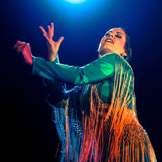 Espectáculo Flamenco en Café Ziryab Madrid 1