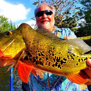 Peacock Bass in Florida nahe Biscayne Bay 3