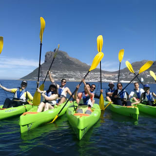 Guided Kayaking in Hout Bay 3