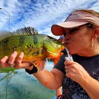 Peacock Bass in Florida nahe Biscayne Bay 4