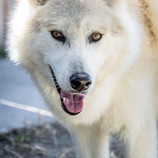 Austin Zoo 3