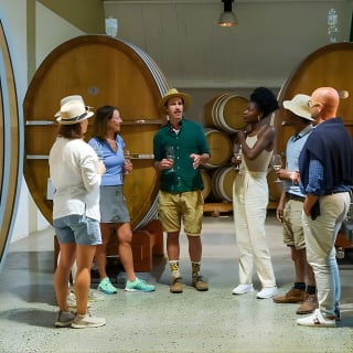 Constantia Wine Walk Storytelling Vineyard Tour with Lunch 3