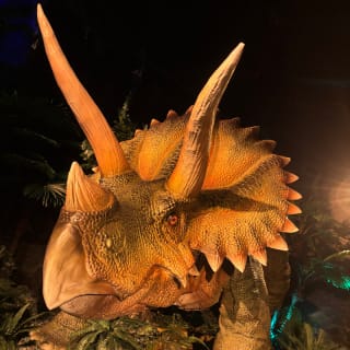 Dinosauri: l’odissea immersiva 12