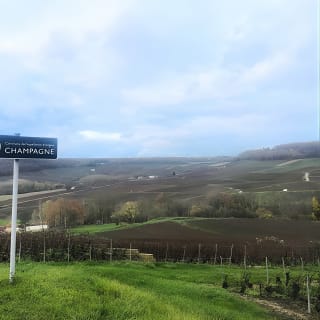 Champagne Area Tour di gruppo presso una delle più importanti case di Champagne & una cantina familiare 5