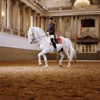 Lipizzaner-Vorstellung in der Spanischen Hofreitschule 5