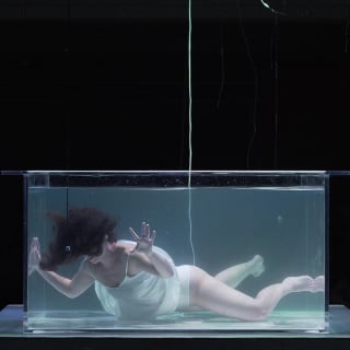 Echos from a liquid memory by Carincur 5
