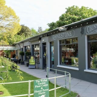 Avoca Mount Usher Gardens: Self Guided Experience 3
