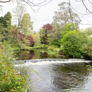 Avoca Mount Usher Gardens: Self Guided Experience 4