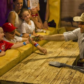 Dinosaur World Florida: biglietto d'ingresso 5