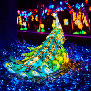 LEKTRIK ART: A Festival of Lights 3