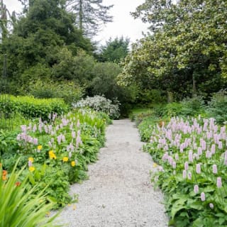 Avoca Mount Usher Gardens: Self Guided Experience 5