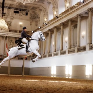 Lipizzaner-Vorstellung in der Spanischen Hofreitschule 10