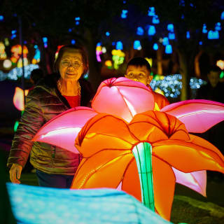 LEKTRIK ART: A Festival of Lights 4