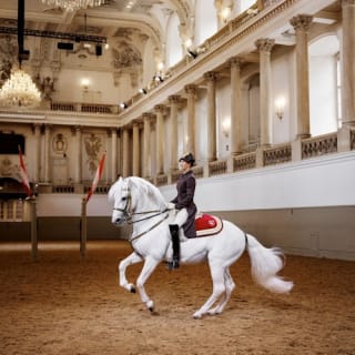 Lipizzaner-Vorstellung in der Spanischen Hofreitschule 13