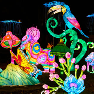 LEKTRIK ART: A Festival of Lights 5