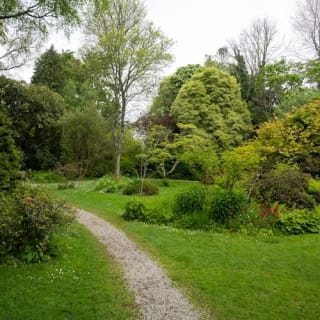 Avoca Mount Usher Gardens: Self Guided Experience 6