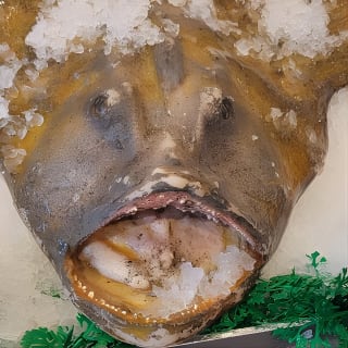 Saborea el mar: Degustación guiada de marisco en Pike Place Ma 6